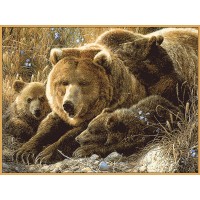 Монгольский ковер Hunnu 6S0235_028 Коричневый